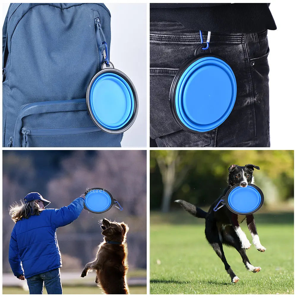 Collapsible Dog Bowl – Must-Have for Hikes & Travel Hot days
